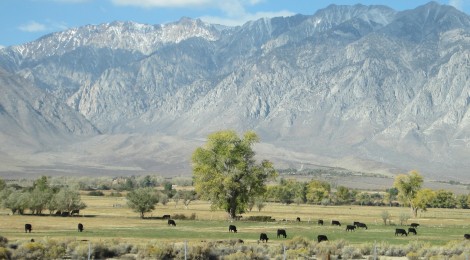 Valley in CA